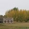 Wynyard  SASK  CANADA