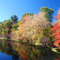 Nashua, NH