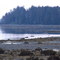 Near Suquash Creek