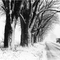 Snow on Cross Road - Lincroft