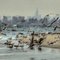 Sandy Hook