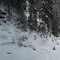 The Falls