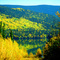 Morfee Lake Gold
