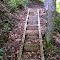 FLT CT05 11.3 mi - 20 steps of 4x4's with 4x4 sides, might be Erie Co Park structure