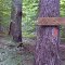 FLT CT6 9.3 mi - Two signs, Mabel Jones Section + Becker's Nature Trail (S end)