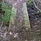 FLT CT6 10.4 mi - Puncheon, 3 4x12 planks 8.5' long