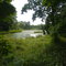 Labe's meander