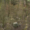 2 zlatý kopec 03 2008