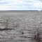 Mississippi River from Dennis Landing