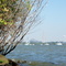 Cedar Point from Johnson's Island