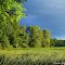 Nature Reserve in the Czech Republic. Nature Reserve Loužek before the storm......(for my friend Bassam Al-Jayousi from Jordan)..... {by Roman Zázvorka}