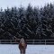 Winter stroll