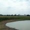 South of Muskogee Family Farm
