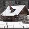 Cabin on the way to Larch Hills.