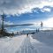 XC skiing at Larch Hills