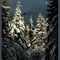 Larch Hills Road, Larch Hills, near Salmon Arm, B.C.