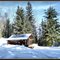 Cec's Cabin, Larch Hills