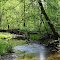 Fourteen Mile Creek