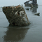 Peter Iredale Ship Wreck