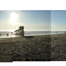 Peter Iredale wreck panoramic