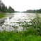 Smith Lake - Warrenton, OR, USA.
