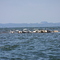 Salmon Fishing - Astoria / Warrenton Oregon