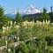 Mt. Hood From Wahtum Lake