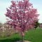 Penn Township Community Park