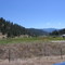 Garden Valley Airstrip Looking East