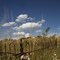 Garden Valley Pioneer Cemetery