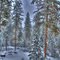 Let it Snow