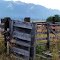 Old holding corral