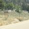Anderson Creek, Granite Creek, Forest Access