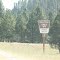 Forest Info
