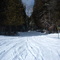 The Trail
