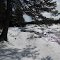 Winter 2013