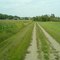 The farm