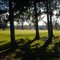Brookfield Country Club