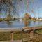 Pond at Clarence Town Hall