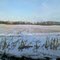 deer in feild