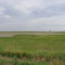 Dry Lake