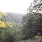 Zoar Valley 06