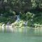700 Springs on the south Llano River
