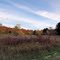 Autumn Field