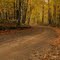 Cascade Road