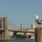 new york ..yeye