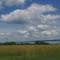 West side of Cayuga