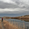 Along the Missouri near Great Falls