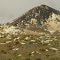 Contrasting Snow And Green Yucca In Little Prickly Pear Canyon South Of Great Falls MT Jan '13