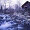 Kingsport Mill